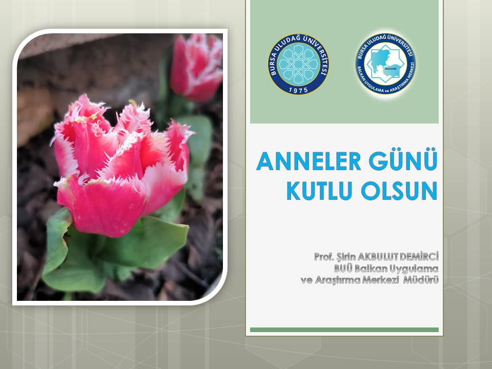  ANNELER GÜNÜ 2026